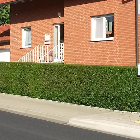 Apartment Mit Blick Auf Herkules Mit Parkplatz Kassel Zewnętrze zdjęcie